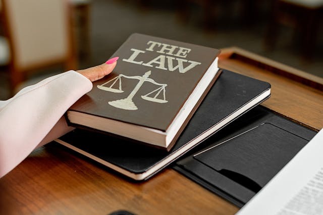 person holding a book labeled the law