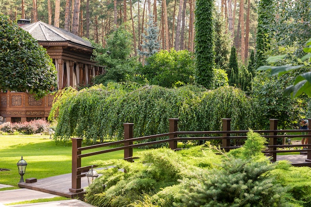 front-yard-landscaping-bushes-trees-greenery