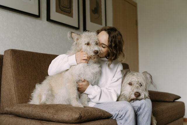 person on a couch with two dogs hugging one