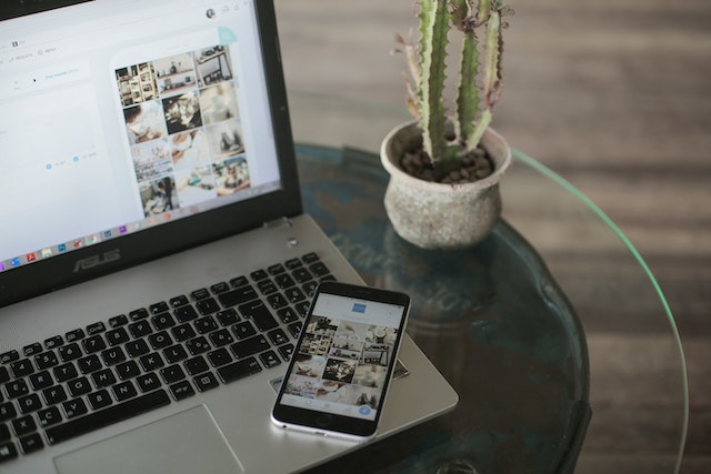 phone and laptop displaying various images with a small cactus next to them